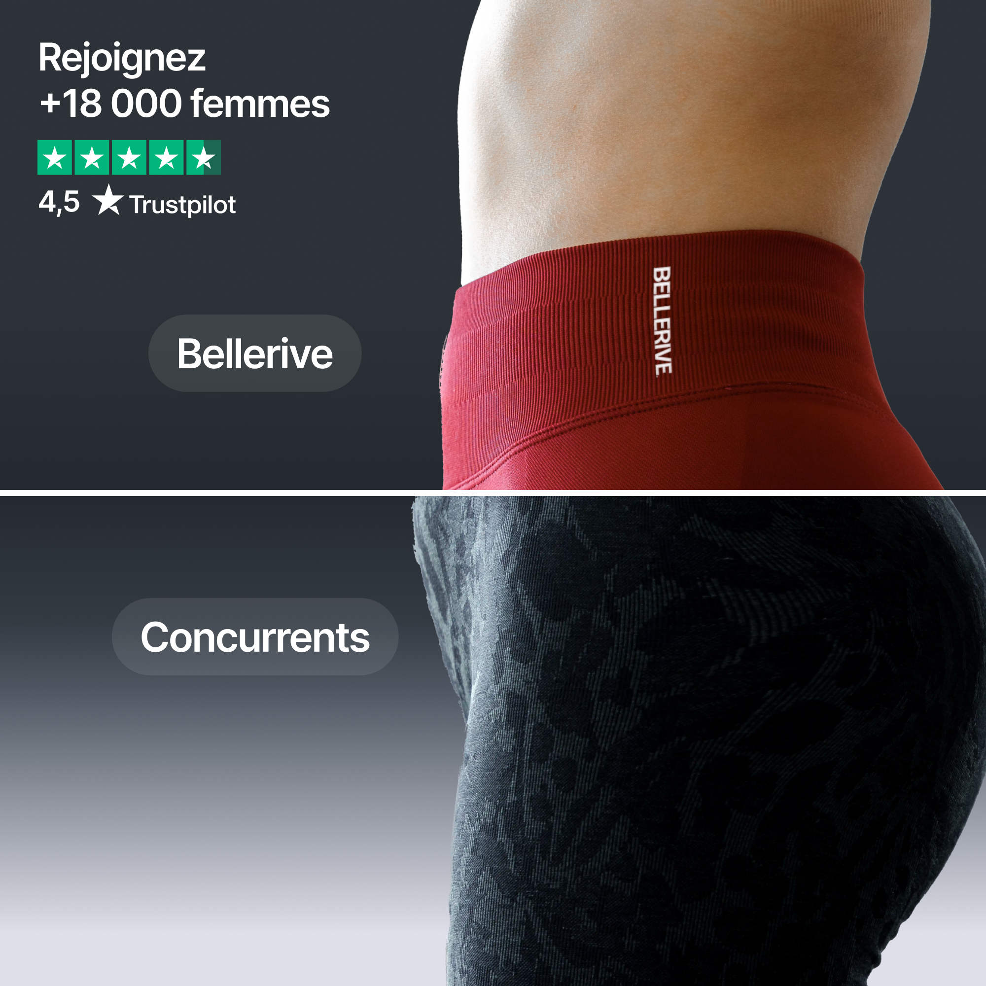 L'ensemble ventre-plat - Cacao